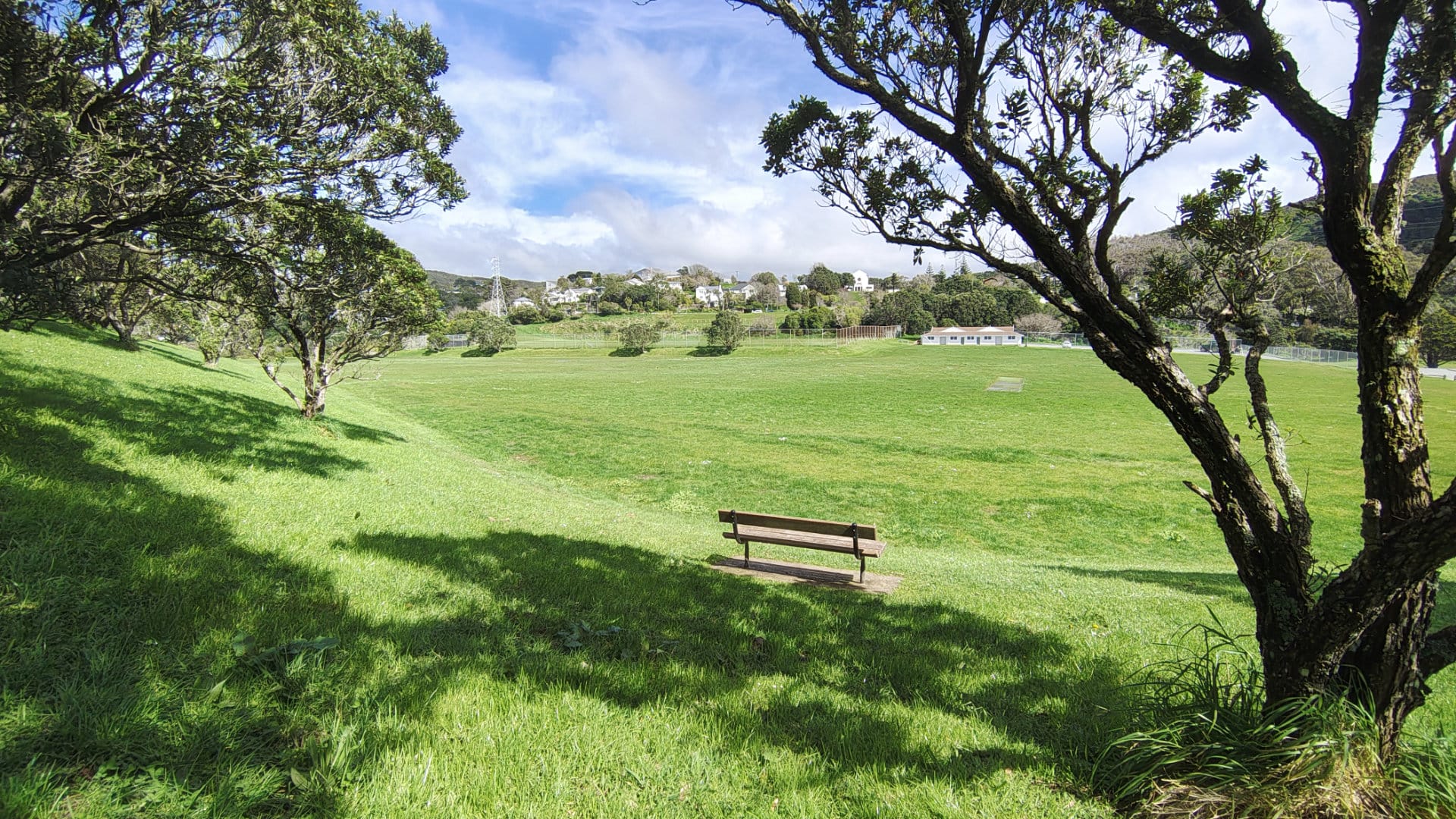 Park bench overlooking a sunlit grassy field
