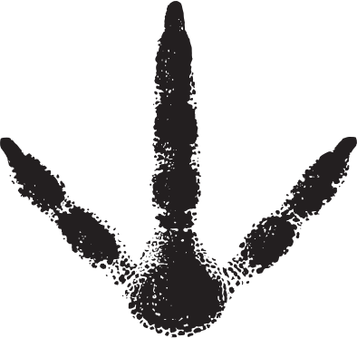 Black anchor silhouette on white background