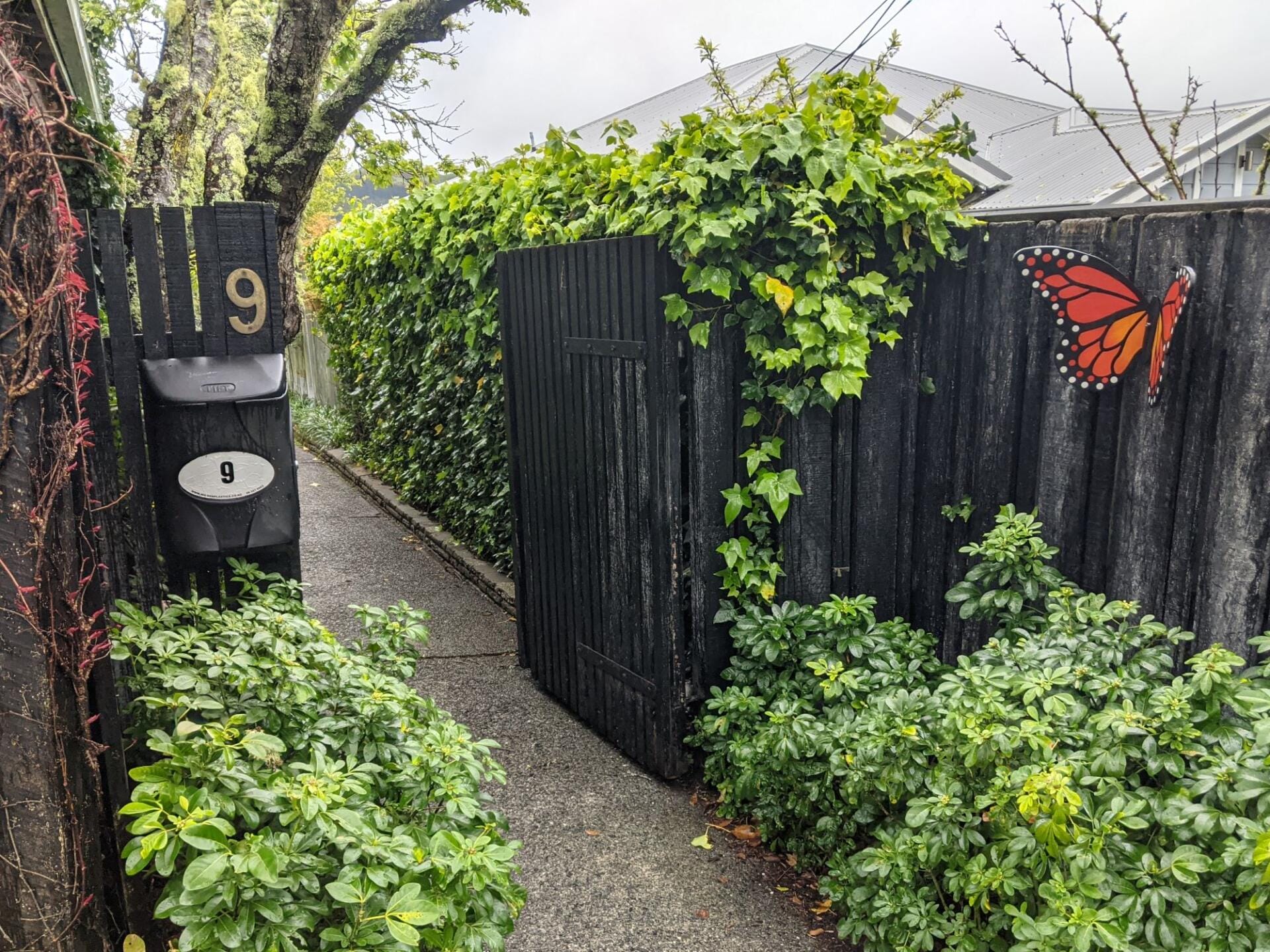 Exterior photo of Art by Judi Lapsley Miller