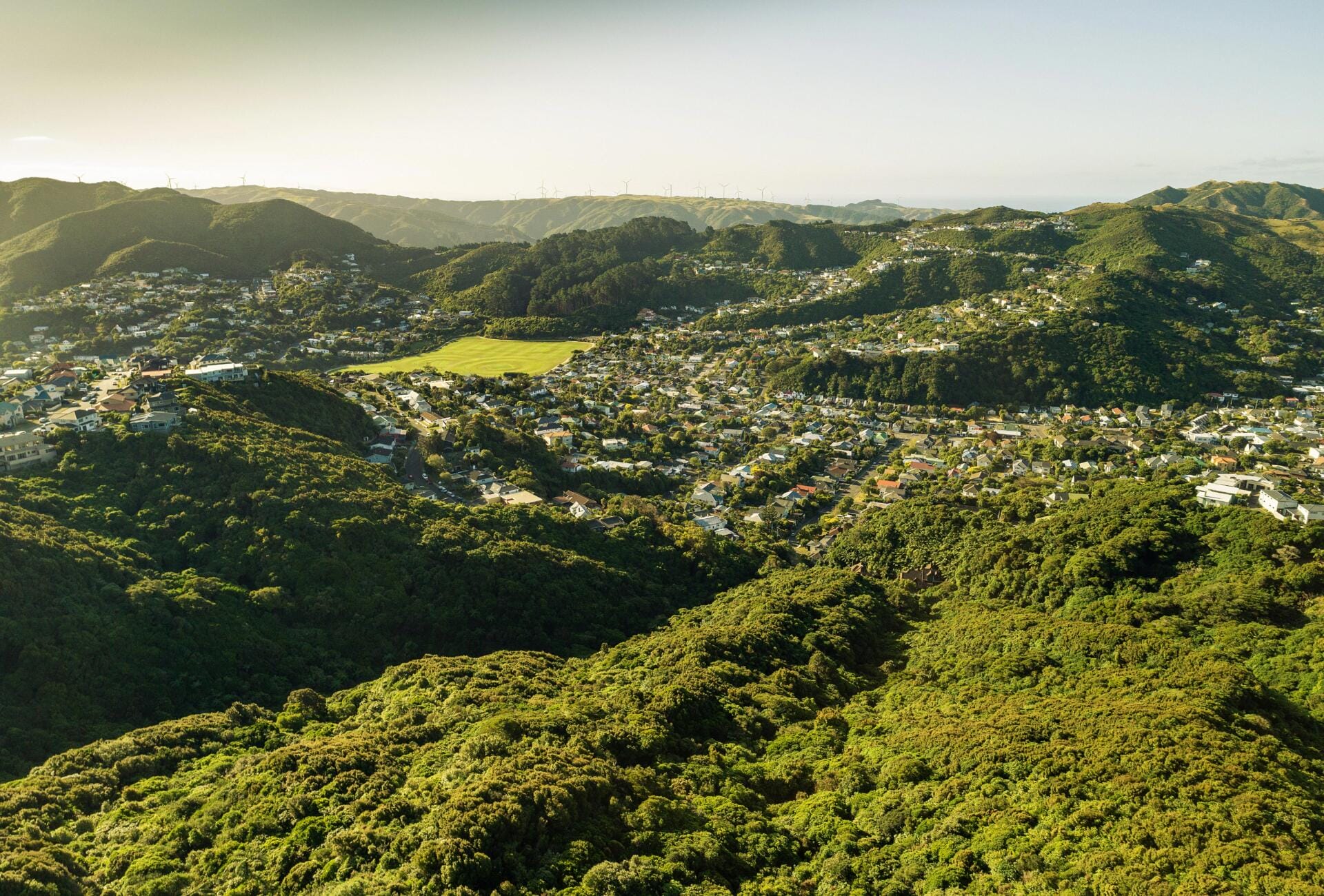 Historic-feeling aerial view of Karori's hillside suburb