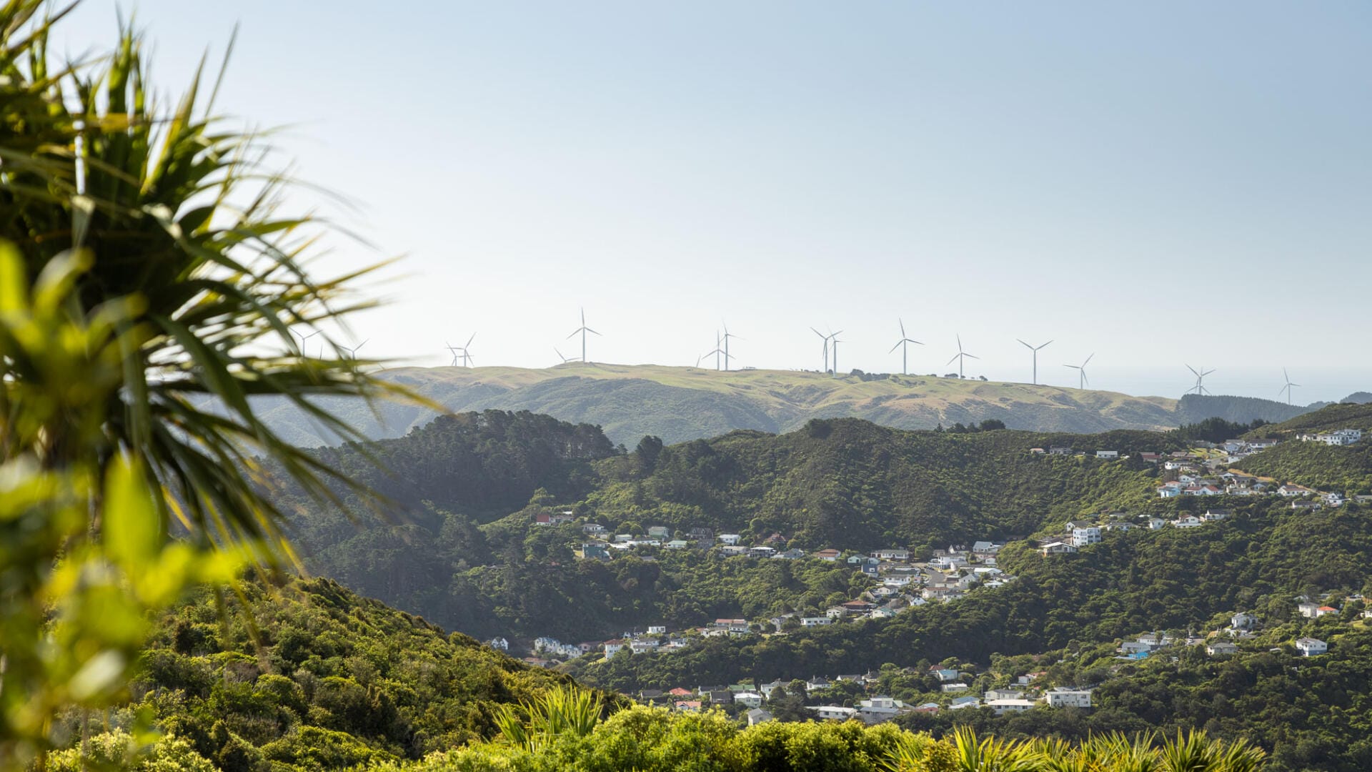Wind turbines above lush hillside suburb