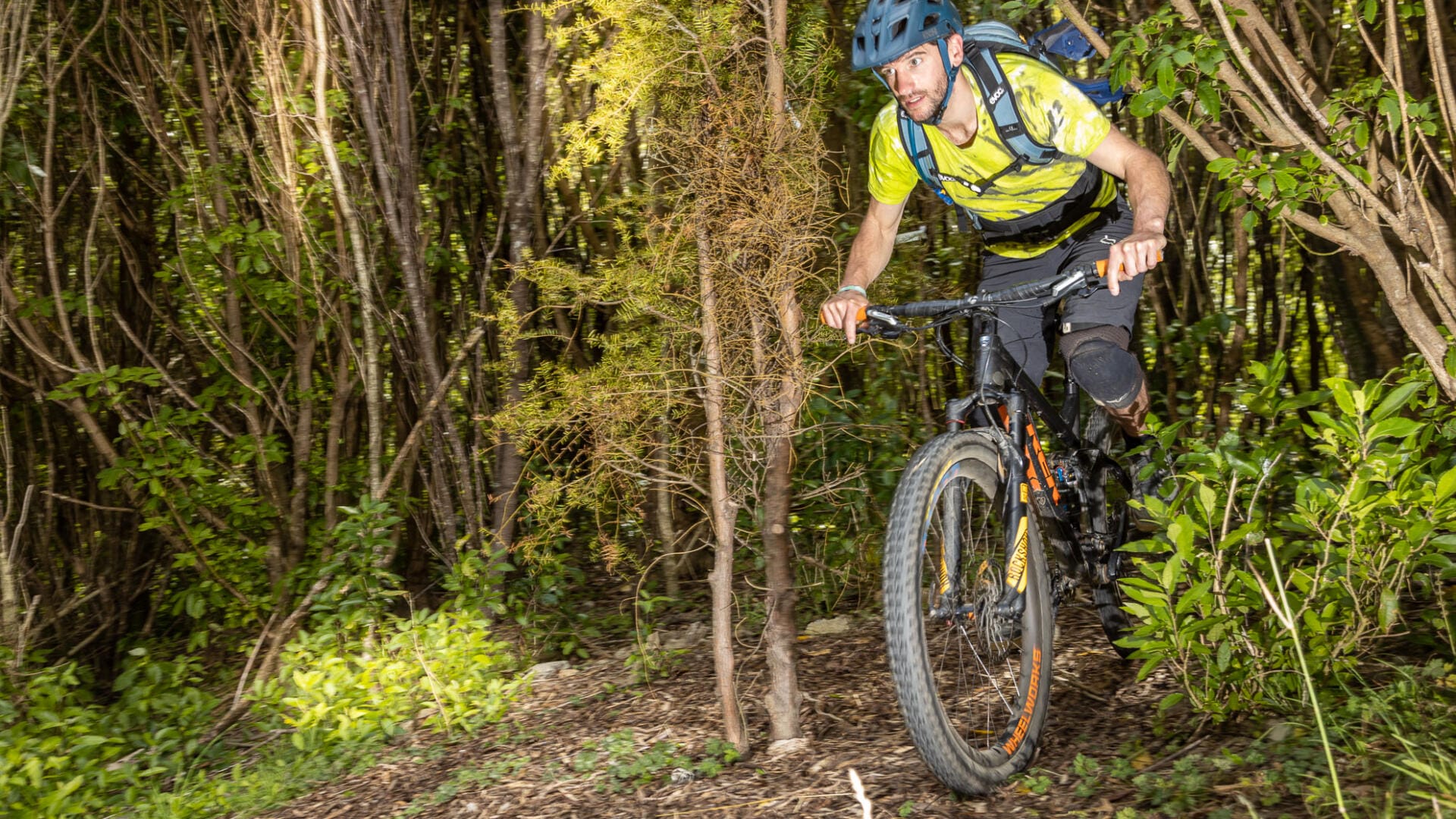 Mountain biker riding through dense forest trail
